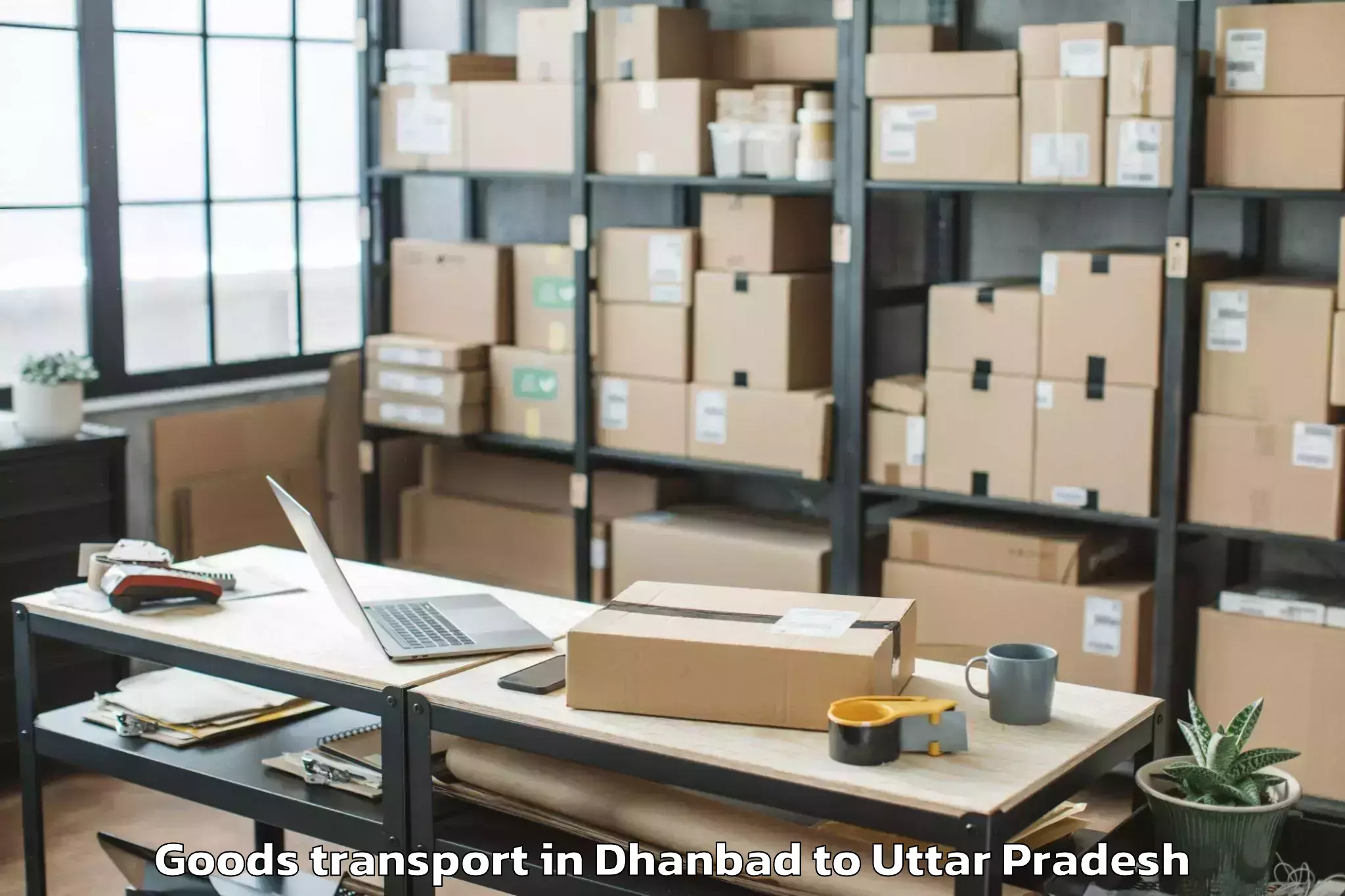 Reliable Dhanbad to Abhilashi University Banda Goods Transport